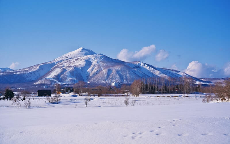 北海道の民泊需要が高い地域