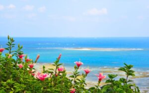 沖縄の民泊経営ガイド｜規制・需要が高いエリア・成功のコツ