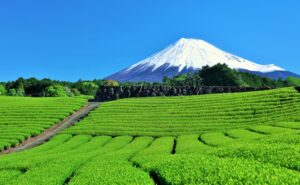 静岡県で民泊開業・経営を成功させるポイントと注意点